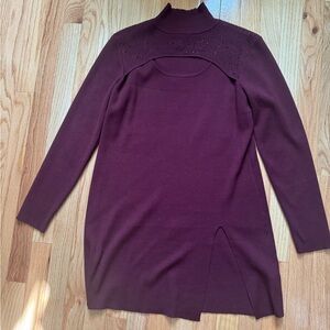 Cable & Gauge Plum Embellished Sweater Dress